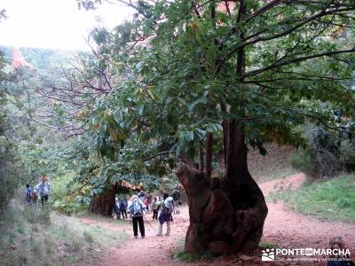 Las Médulas - Valle del Silencio - Herrería de Compludo;senderismo comunidad madrid señalizacion 